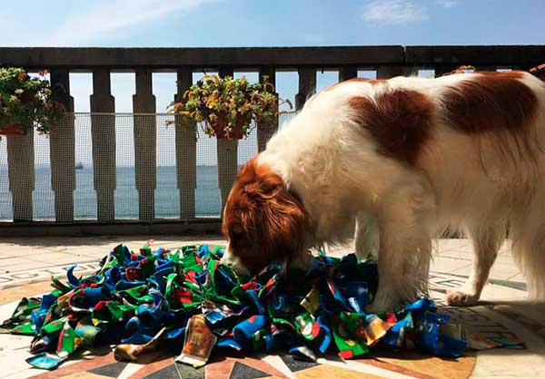 snuffle mat