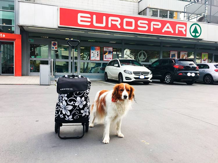 I cani al supermercato in Friuli Venezia Giulia